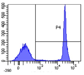 CD4 Antibody
