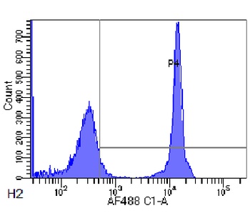 CD4 Antibody