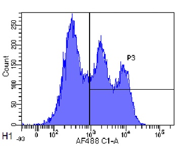 CD52 Antibody