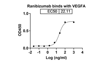 Ranibizumab (VEGFA) - Research Grade Biosimilar Antibody