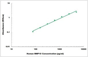 Human MMP10 ELISA Kit