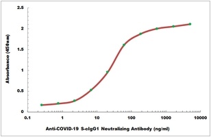 COVID-19 S-cIgG1 Neutralizing Antibody