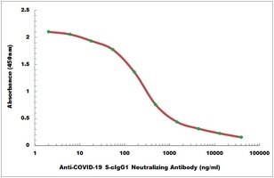 COVID-19 S-cIgG1 Neutralizing Antibody