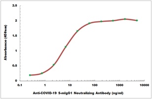 COVID-19 S-mIgG1 Neutralizing Antibody