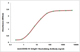 COVID-19 S-hIgG1 Neutralizing Antibody