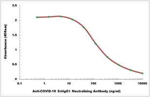 COVID-19 S-hIgG1 Neutralizing Antibody