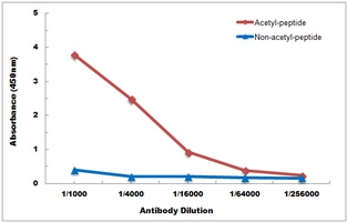 Histone H3 (Acetyl-K36) Antibody