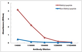 Histone H3 (TriMethyl-K79) Antibody