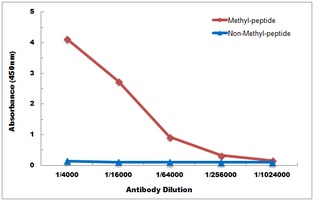 Histone H3 (DiMethyl-K4) Antibody