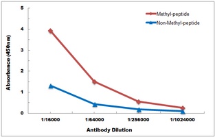Histone H3 (MonoMethyl-K9) Antibody