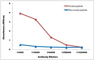Histone H2B (Acetyl-K34) Rabbit Polyclonal Antibody