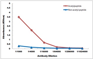 Histone H3 (Acetyl-K115) Antibody