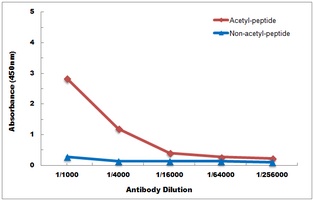 Histone H3 (Acetyl-K56) Antibody