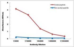 Histone H2B (Acetyl-K20) Rabbit Polyclonal Antibody