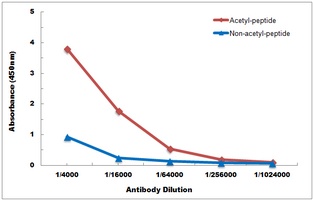 Histone H2A (Acetyl-K7) Rabbit Polyclonal Antibody