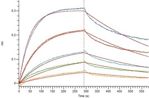 COVID-19 S1 Protein (Omicron, B.1.1.529)