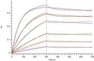 COVID-19 S Protein RBD (Omicron, BA.2)