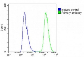 IL-23 alpha Antibody