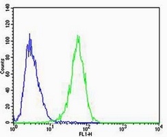 CAPN6 Mouse Monoclonal Antibody