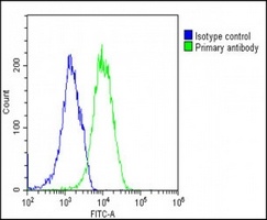 EIF2B3 Mouse Monoclonal Antibody