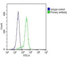 CYLD Mouse Monoclonal Antibody