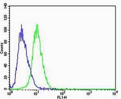 CBX8 Mouse Monoclonal Antibody