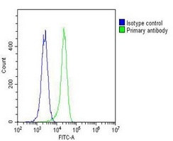 Makorin-2 Mouse Monoclonal Antibody