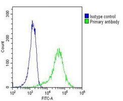 MYO18B Mouse Monoclonal Antibody