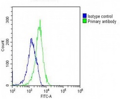 GNMT Mouse Monoclonal Antibody