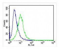 IRF3 Mouse Monoclonal Antibody