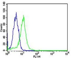 PPAR alpha Mouse Monoclonal Antibody