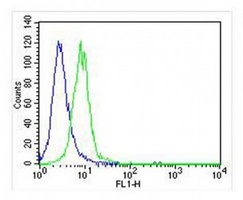 c-FER Mouse Monoclonal Antibody