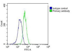 RAB5C Mouse Monoclonal Antibody