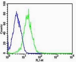 PPT Mouse Monoclonal Antibody