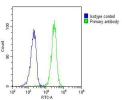 RASSF2 Mouse Monoclonal Antibody