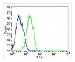 FHIT Mouse Monoclonal Antibody