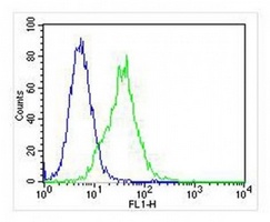 HINT1 Mouse Monoclonal Antibody