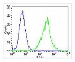 ZAP70 Mouse Monoclonal Antibody