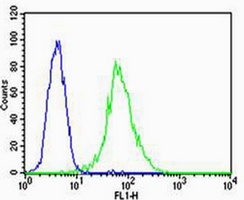 VEGFR3 Mouse Monoclonal Antibody