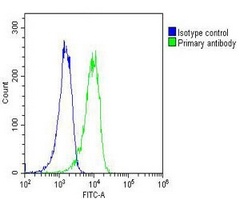 RYK Mouse Monoclonal Antibody