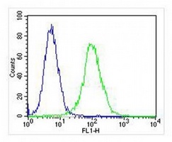 PPP2R1B Mouse Monoclonal Antibody