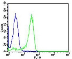 NF-kappaB p105 Mouse Monoclonal Antibody