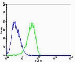 Calpain 2 Mouse Monoclonal Antibody