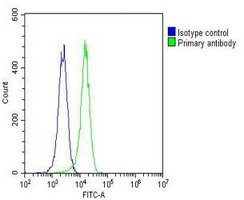 ETS1 Mouse Monoclonal Antibody