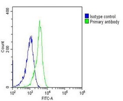 ALDOC Mouse Monoclonal Antibody