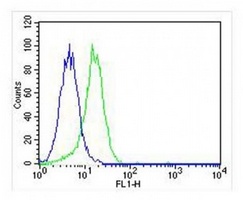 CD115 Antibody