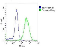 GAPDH Mouse Monoclonal Antibody