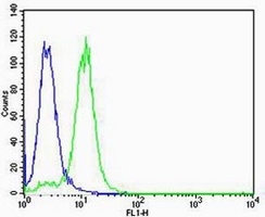 Von Willebrand Factor Mouse Monoclonal Antibody