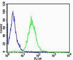 CD74 Mouse Monoclonal Antibody