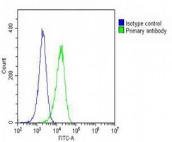 EGFR Mouse Monoclonal Antibody
